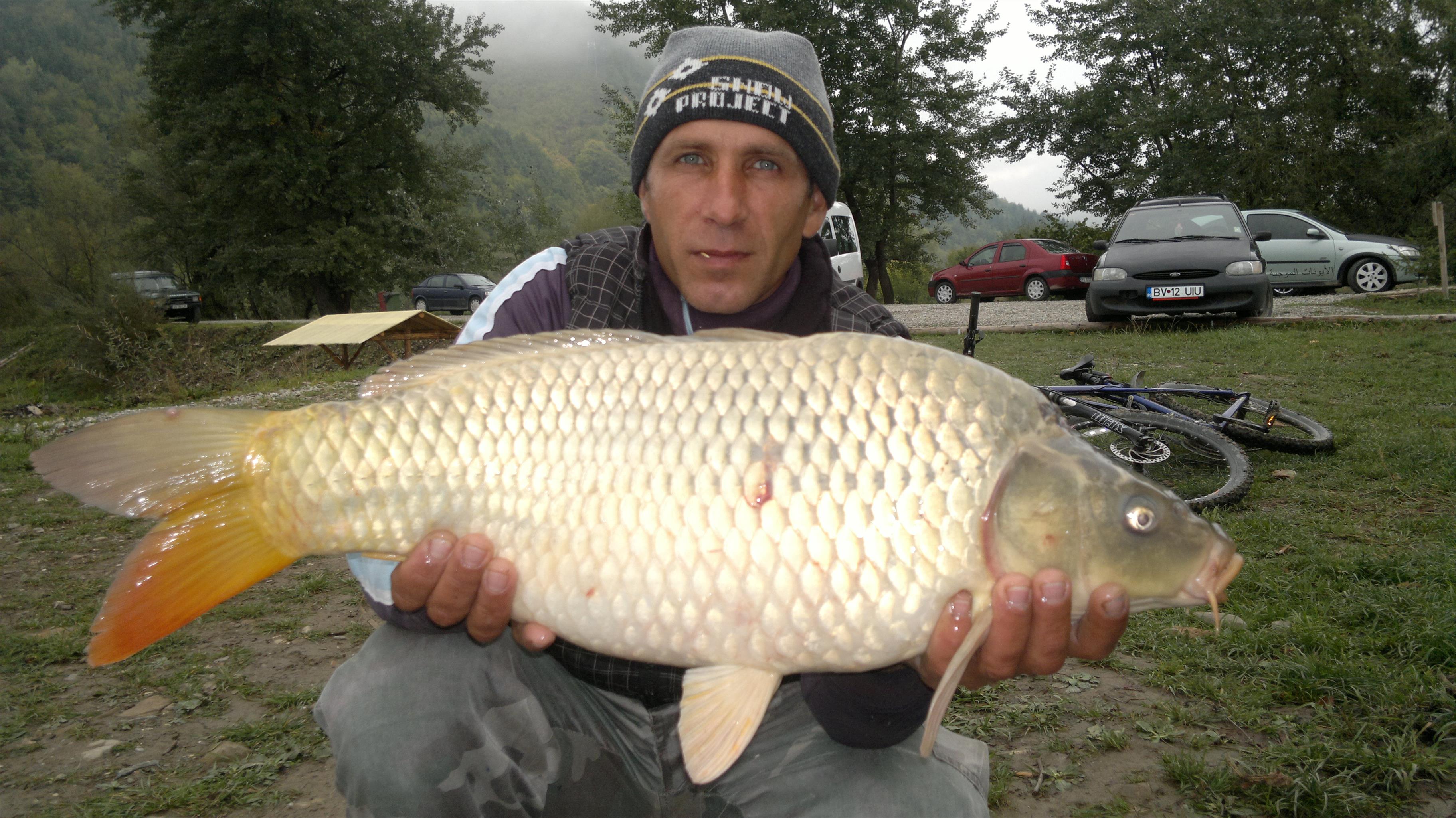 Balta Valea Morii Budila - 14102012928.jpg